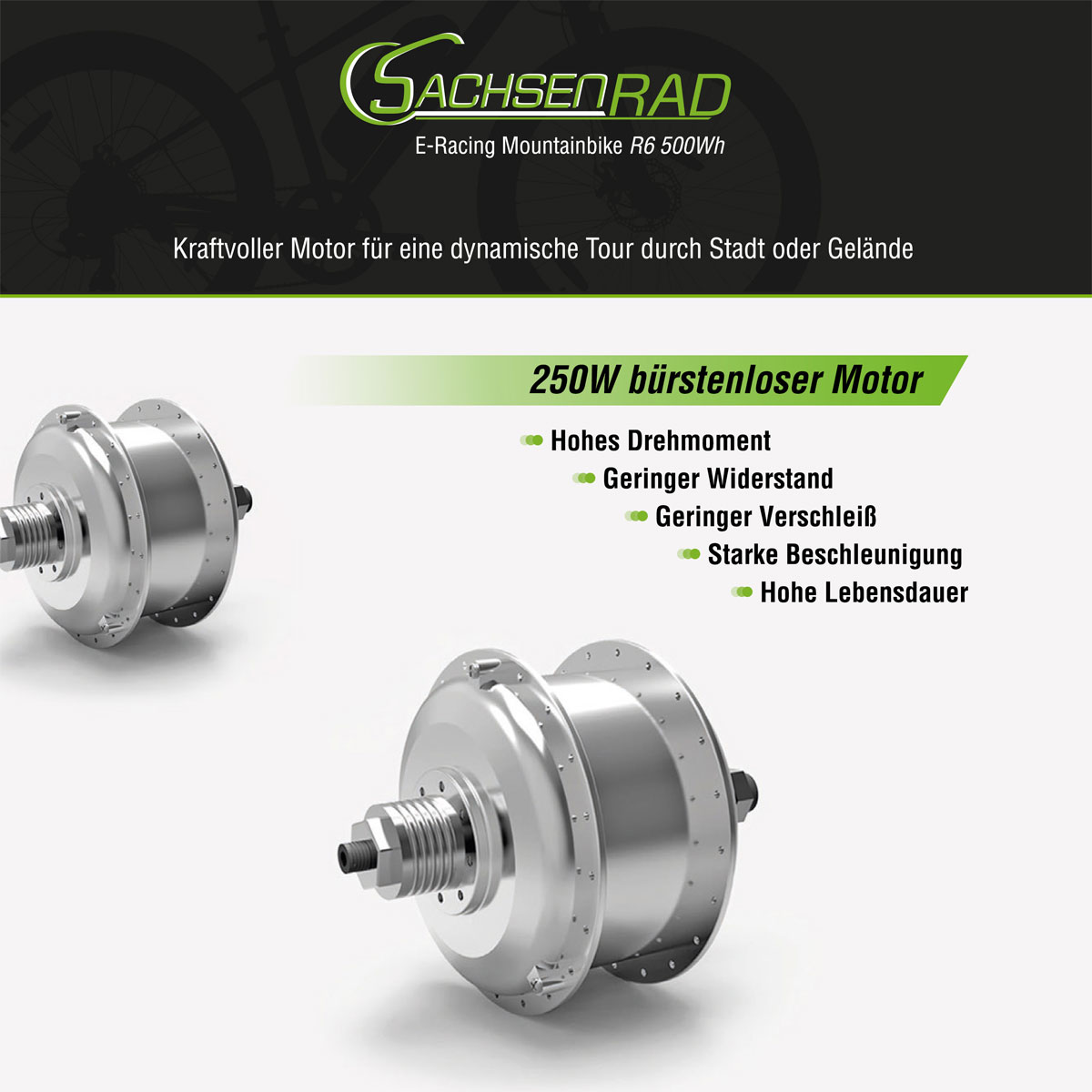 SachsenRad E-Racing Mountain Bike R6 500Wh 13,4Ah E-Bike 26" ca.150 KM Reichweite Bild 7