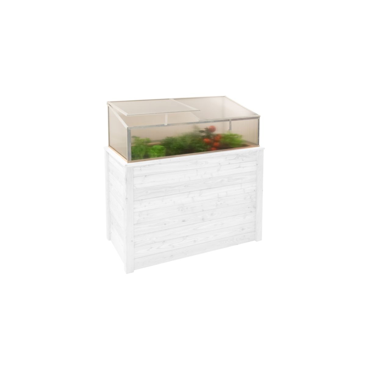 Westmann Frühbeetaufsatz Genus 100 62x95x41cm