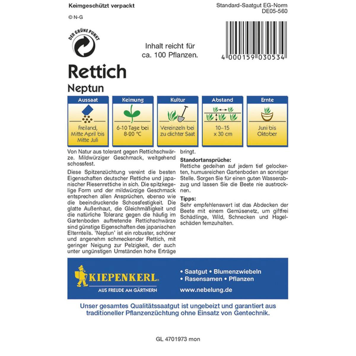 Kiepenkerl Rettich Neptun F1 Bild 2