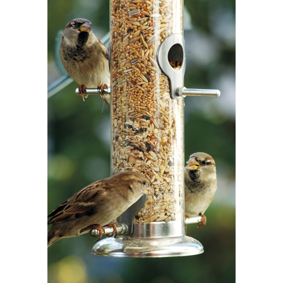 Futterspender 9,5 x 9,5 x 39 cm Metall Silber Bild 4