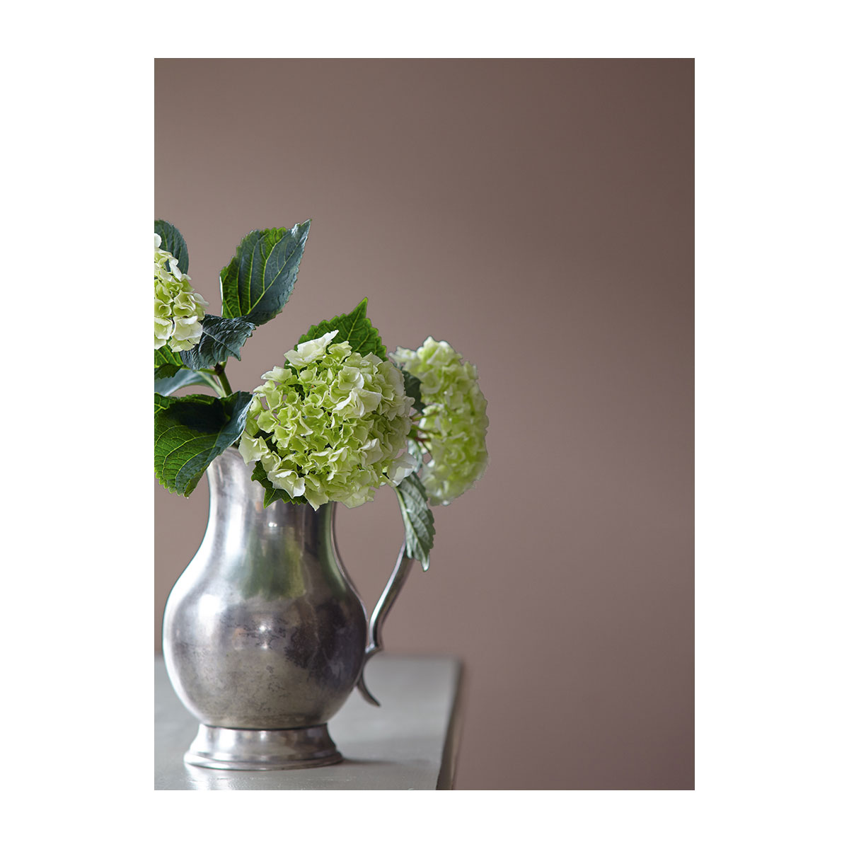 Alpina Feine Farben Dichter der Erde 2,5 L Bild 3