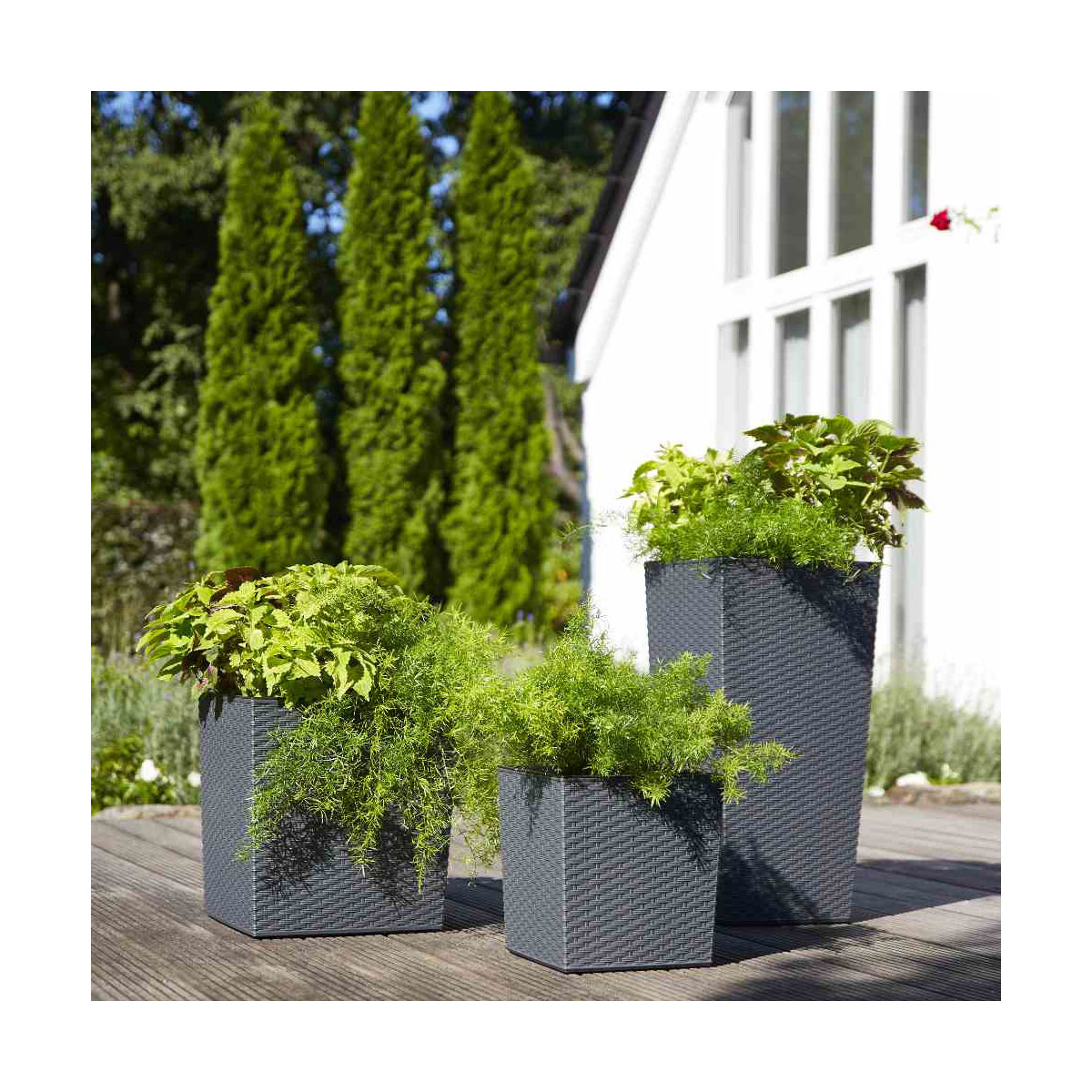 Siena Garden Pflanzgefäß Nizza 30 x 30 x 57 cm graphit Rillenoptik Bild 5