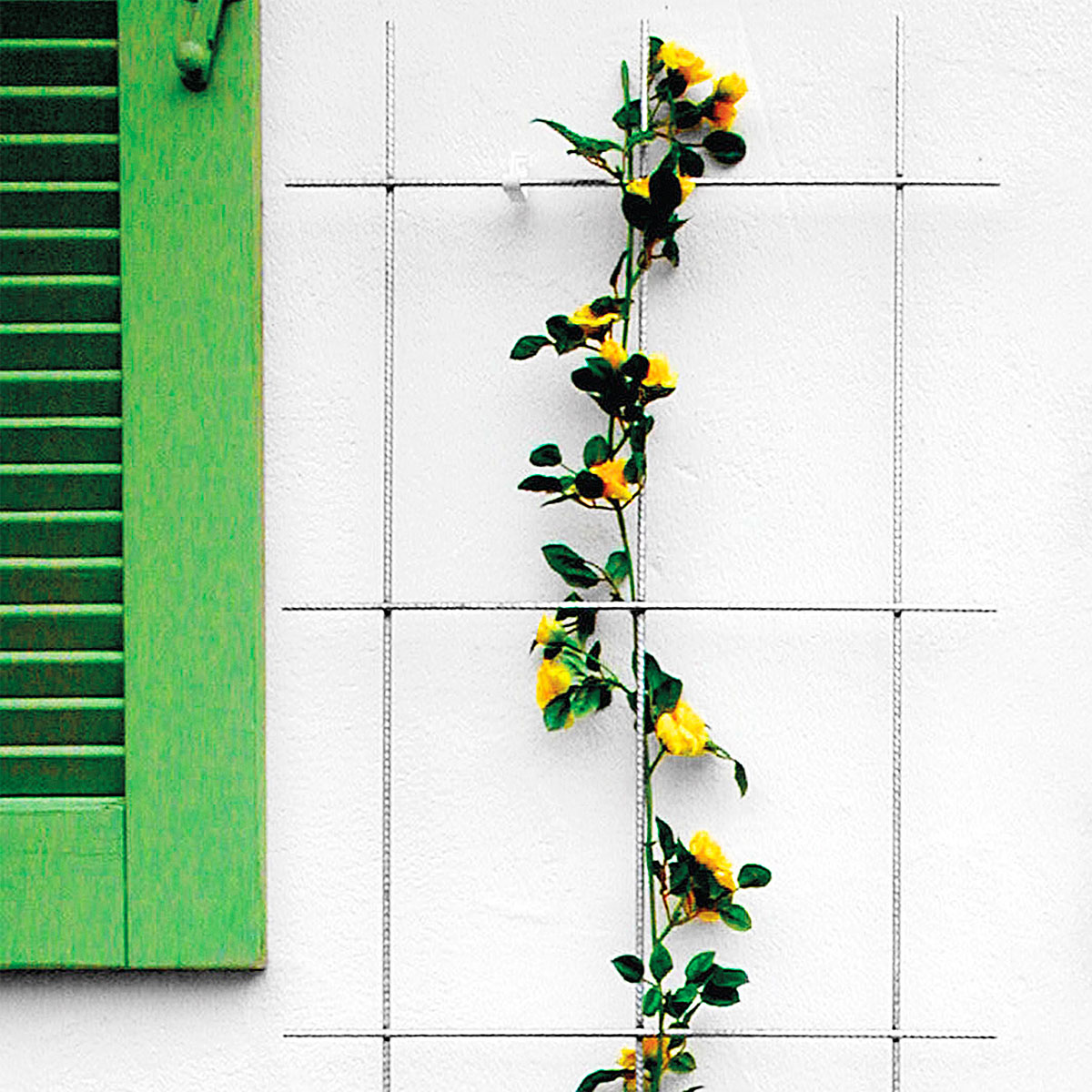 Spalier 3-strebig Bild 1