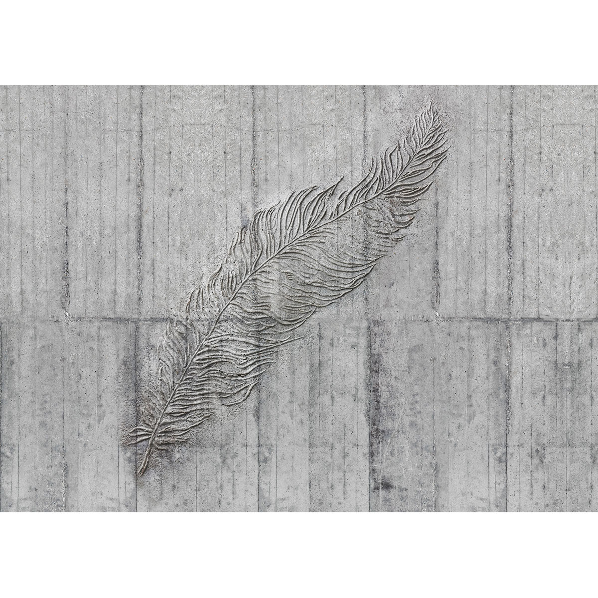 Komar  Vlies Fototapete Concrete Feather 350x250 cm Bild 2