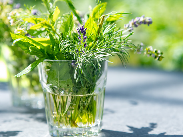 Nahaufnahme eines Glases voller frischer Kräuter und Lavendel.