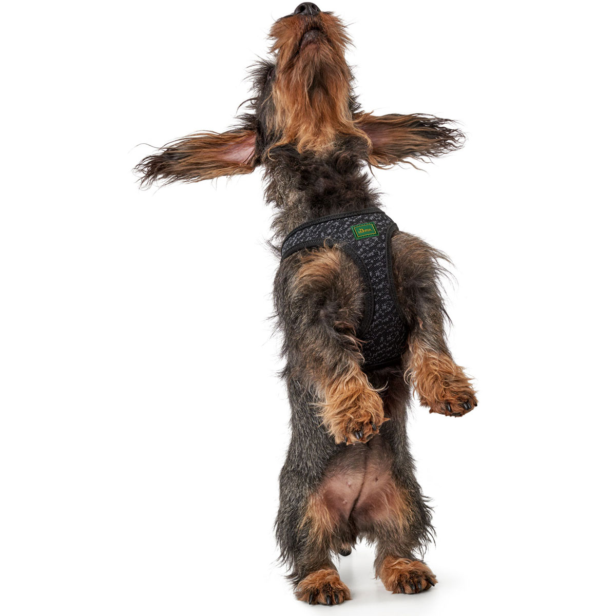 Hunter  Geschirr Hilo Soft Comfort grau L Bild 4