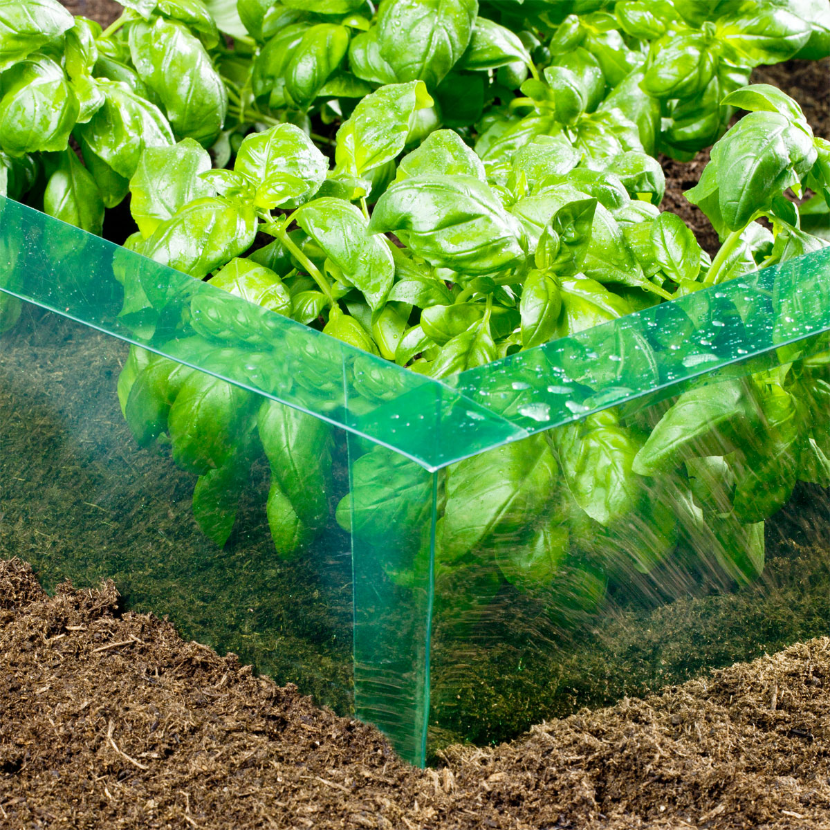 Windhager Schneckenbarriere 20 cm 14m Bild 3