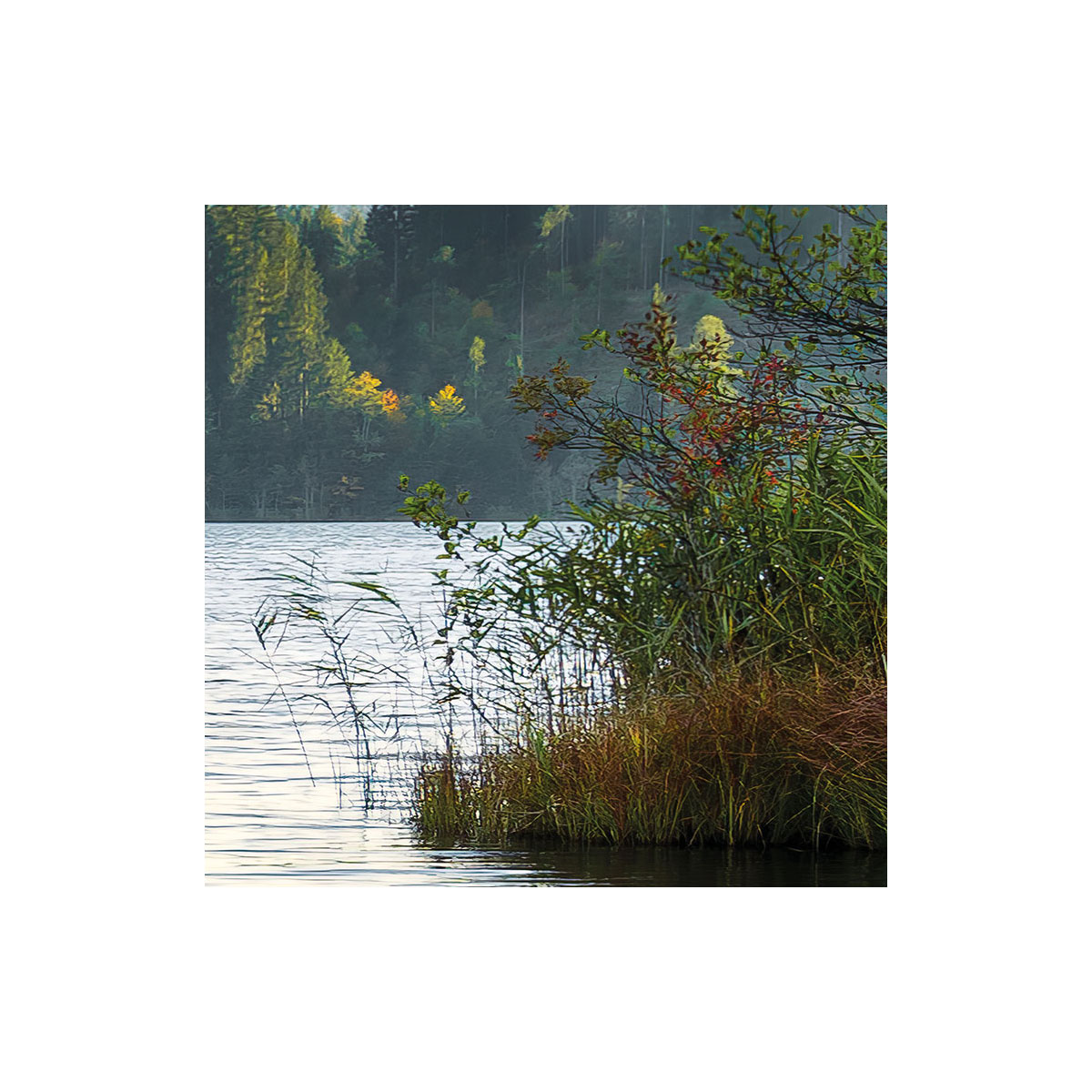 Komar  Vlies Fototapete Am Ende des Tages 300x280 cm Bild 6