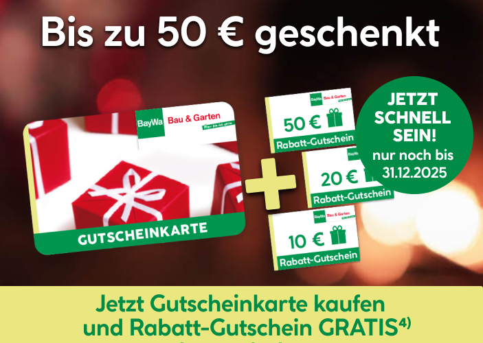 Bis zu 50 Euro geschenkt: Jetzt schnell sein! nur noch bis zum 31.12.2025