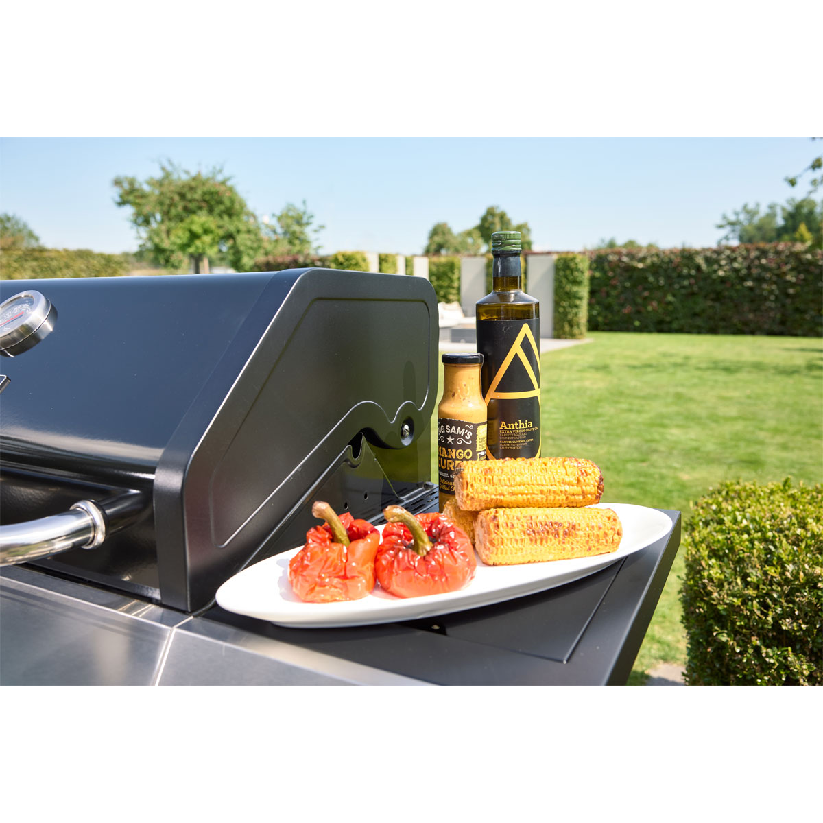 Rothmann Gasgrillwagen Daytona 5 Plusschwarz mit Edelstahlapplikationen Bild 7
