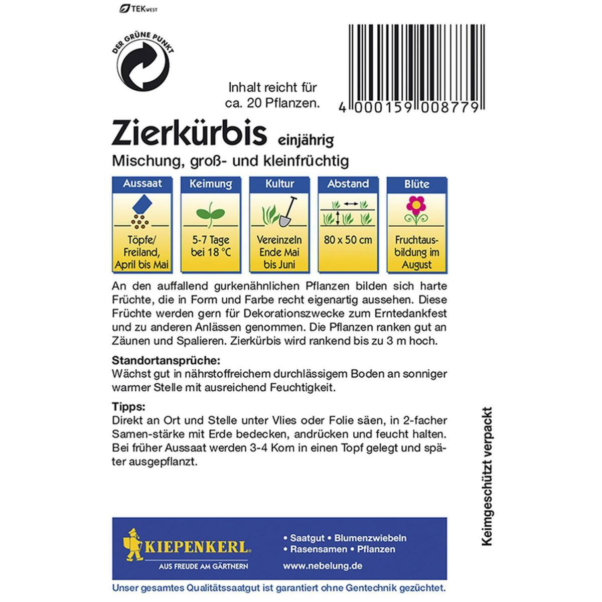 Kiepenkerl Zierkürbis Mischung Bild 2