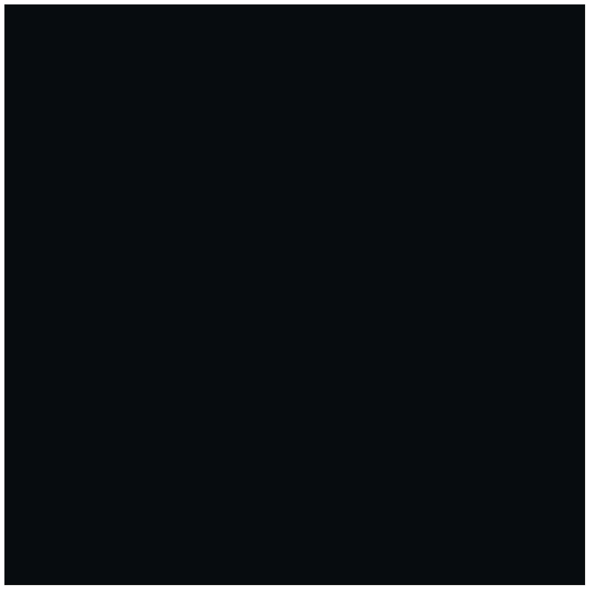 Vincent Premium Wetterschutzfarbe Tiefschwarz 0,75 L Bild 2