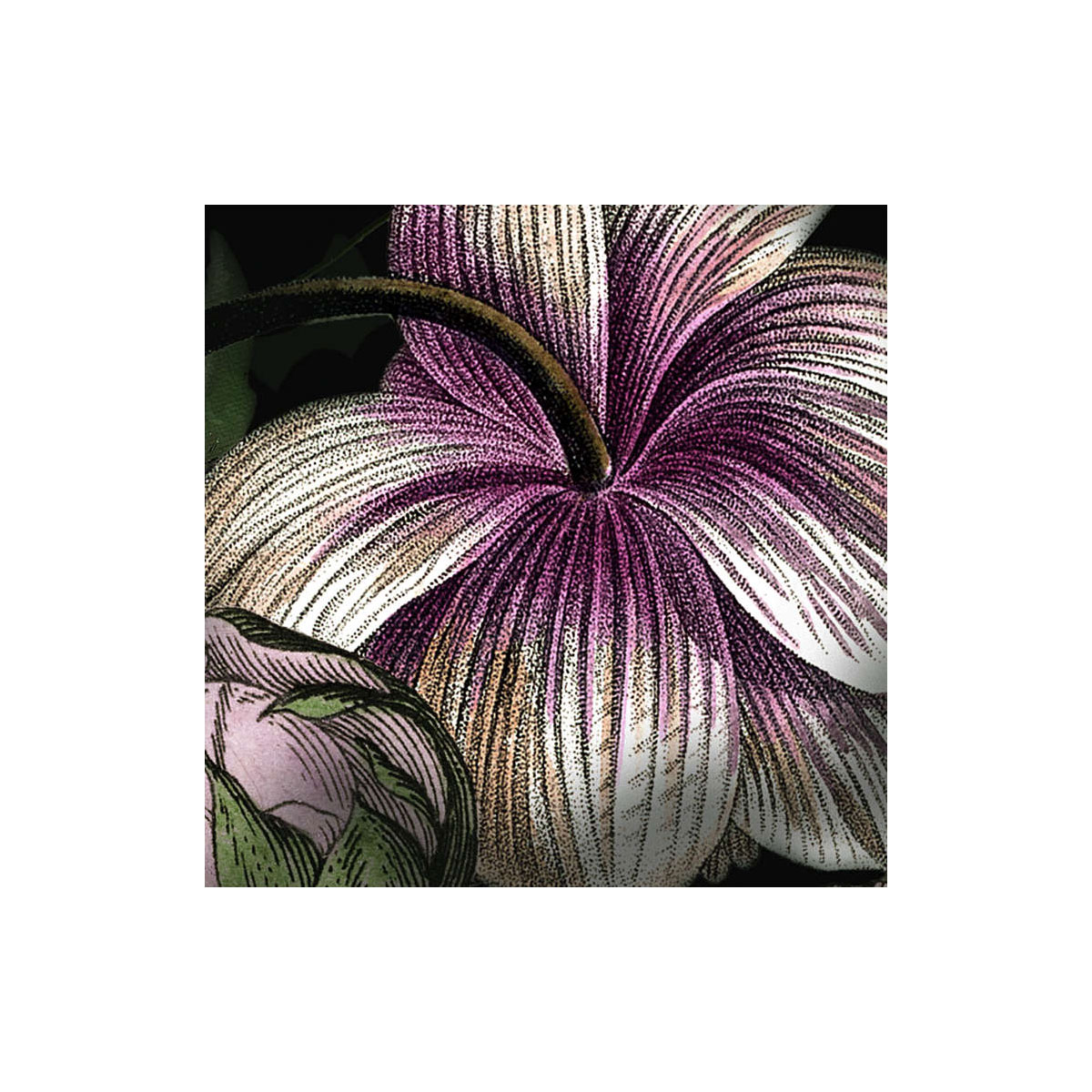 Komar  Vlies Fototapete Victoria Black 400x250 cm Bild 9