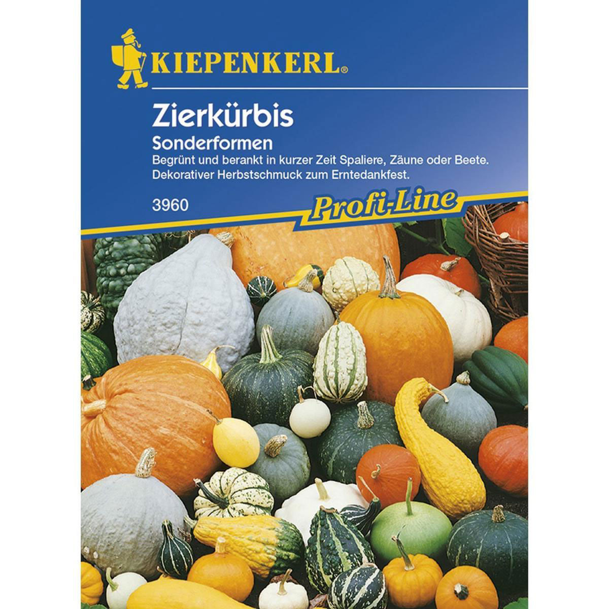 Kiepenkerl Zierkürbis Sonderformen Profi-Line