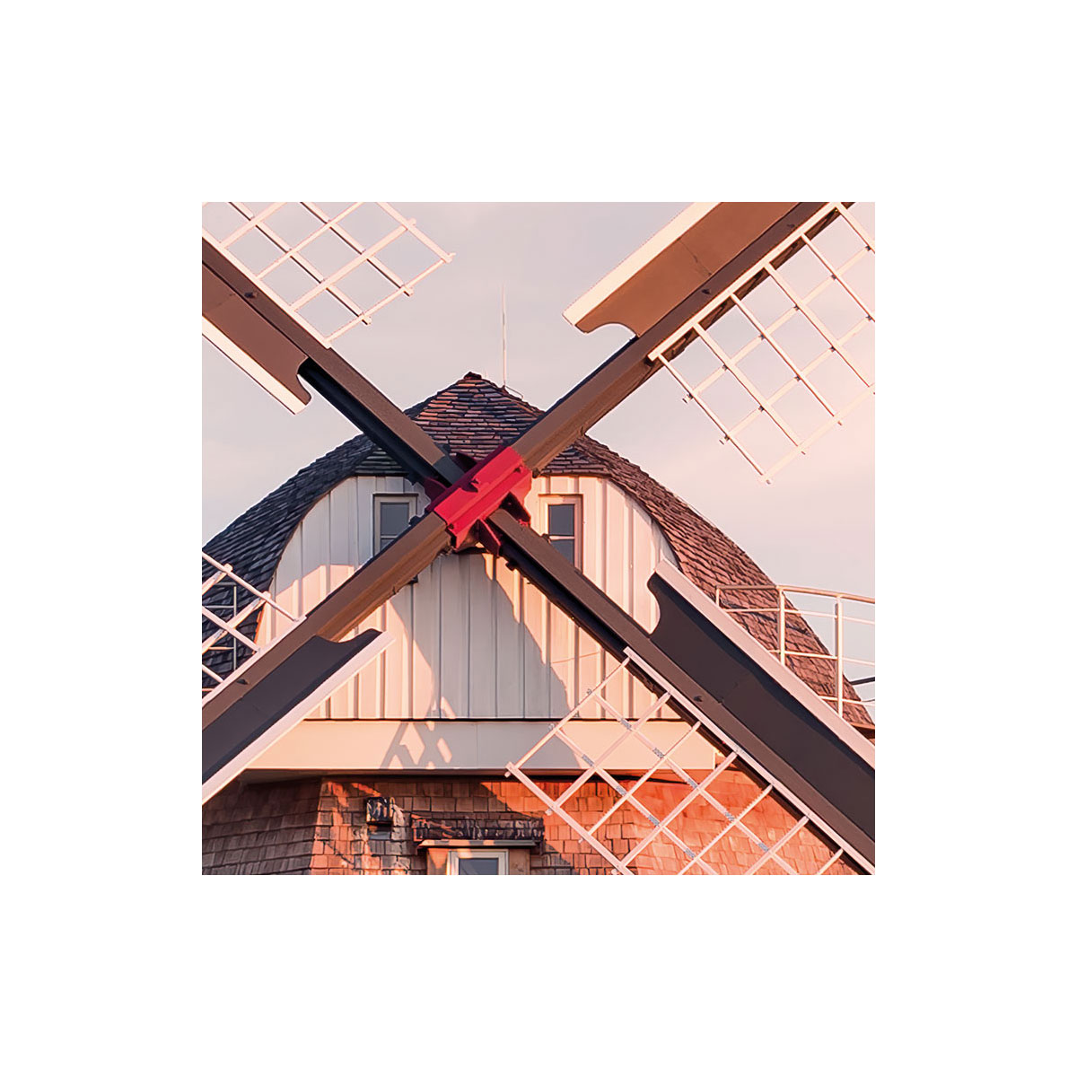 Komar  Vlies Fototapete Tage wie Diese 450x280 cm Bild 5