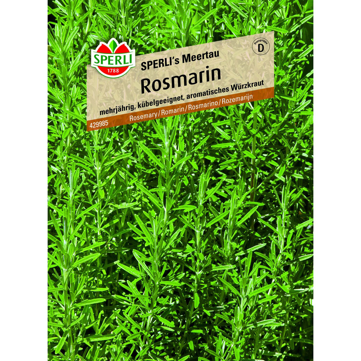 Rosmarin SPERLI´s Meertau Bild 1