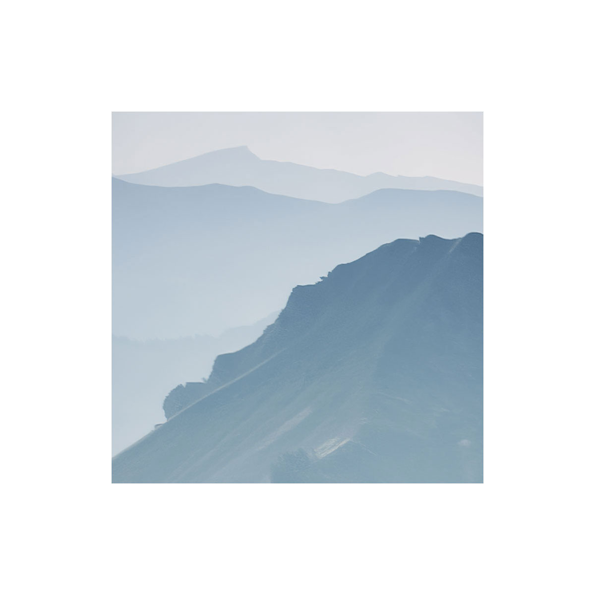 Komar  Vlies Fototapete The Green Queen 450x280 cm Bild 7