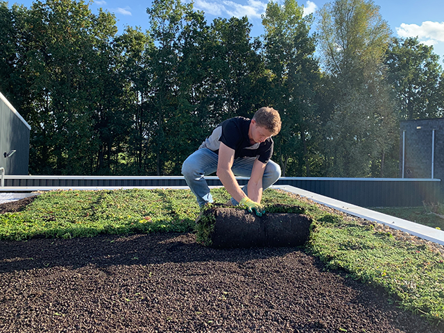 AboutGreen_DIY_Dachbegruenung