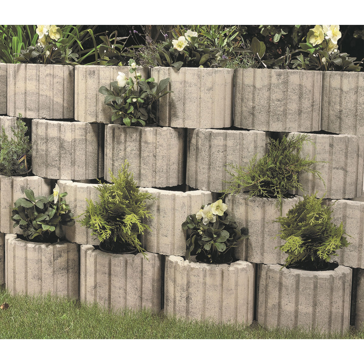 Mini-Pflanzring anthrazit 20 x 30 cm Bild 2