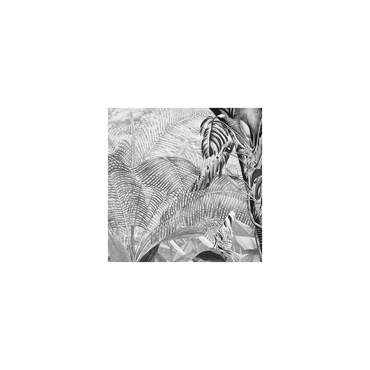 Komar  Vlies Fototapete Roraima 350x280 cm Bild 8