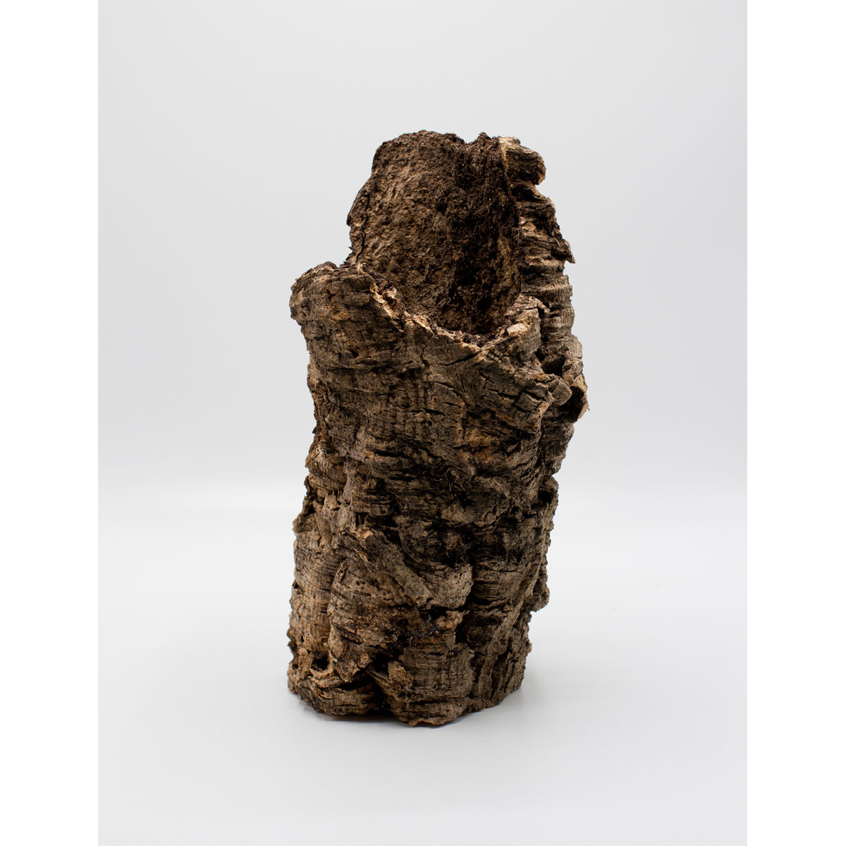 Korkröhre 25-40 cm Durchmesser 5-10 cm