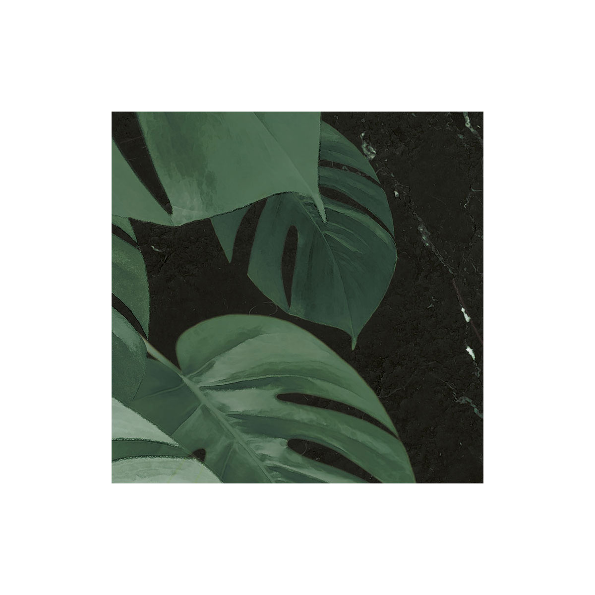 Komar  Selbstklebende Vlies Fototapete rund Novel Monstera Durchmesser 125 cm Bild 4