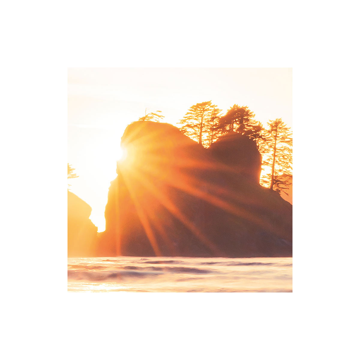 Komar  Vlies Fototapete Island Dreaming 200x250 cm Bild 4