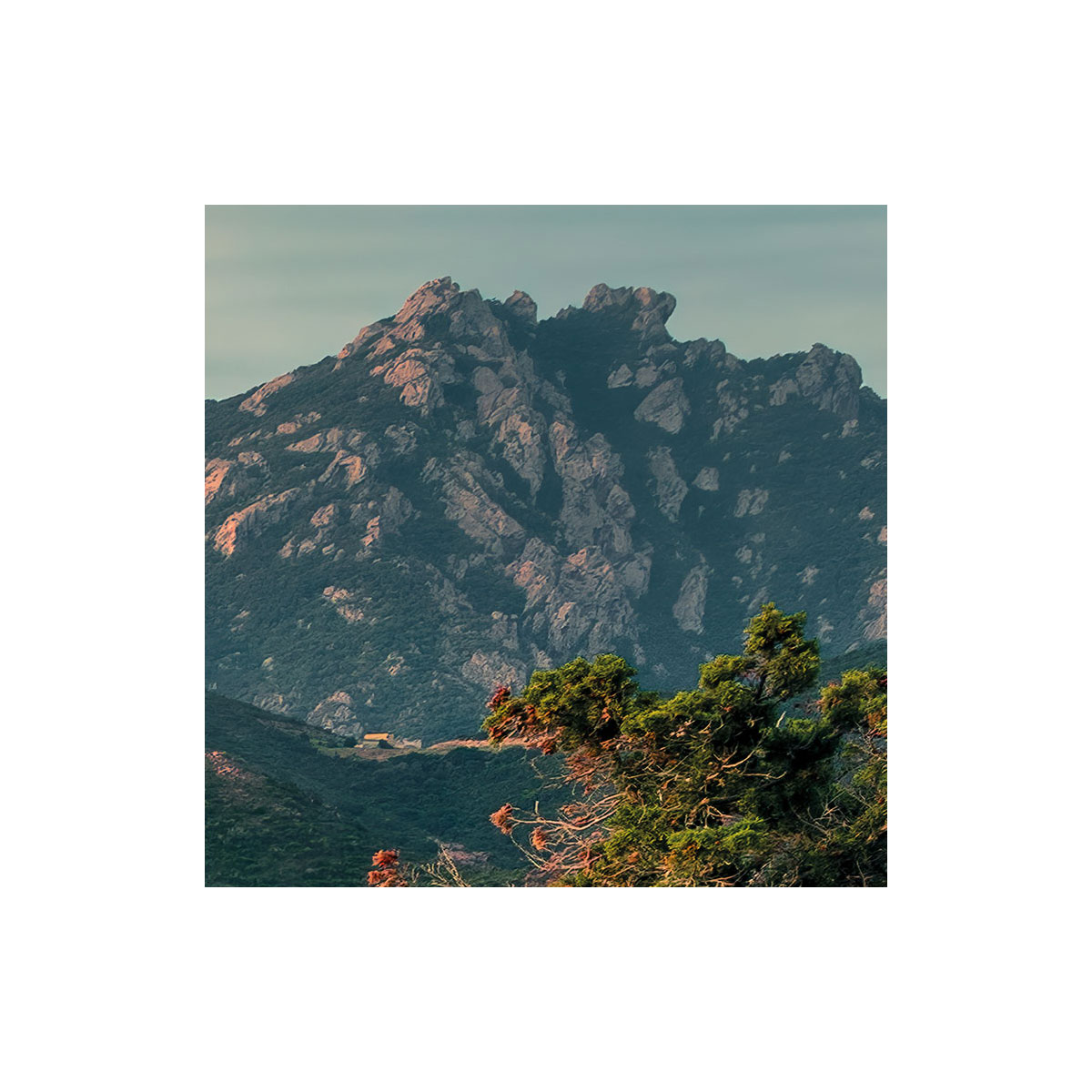 Komar  Vlies Fototapete Paradiso II 450x280 cm Bild 6