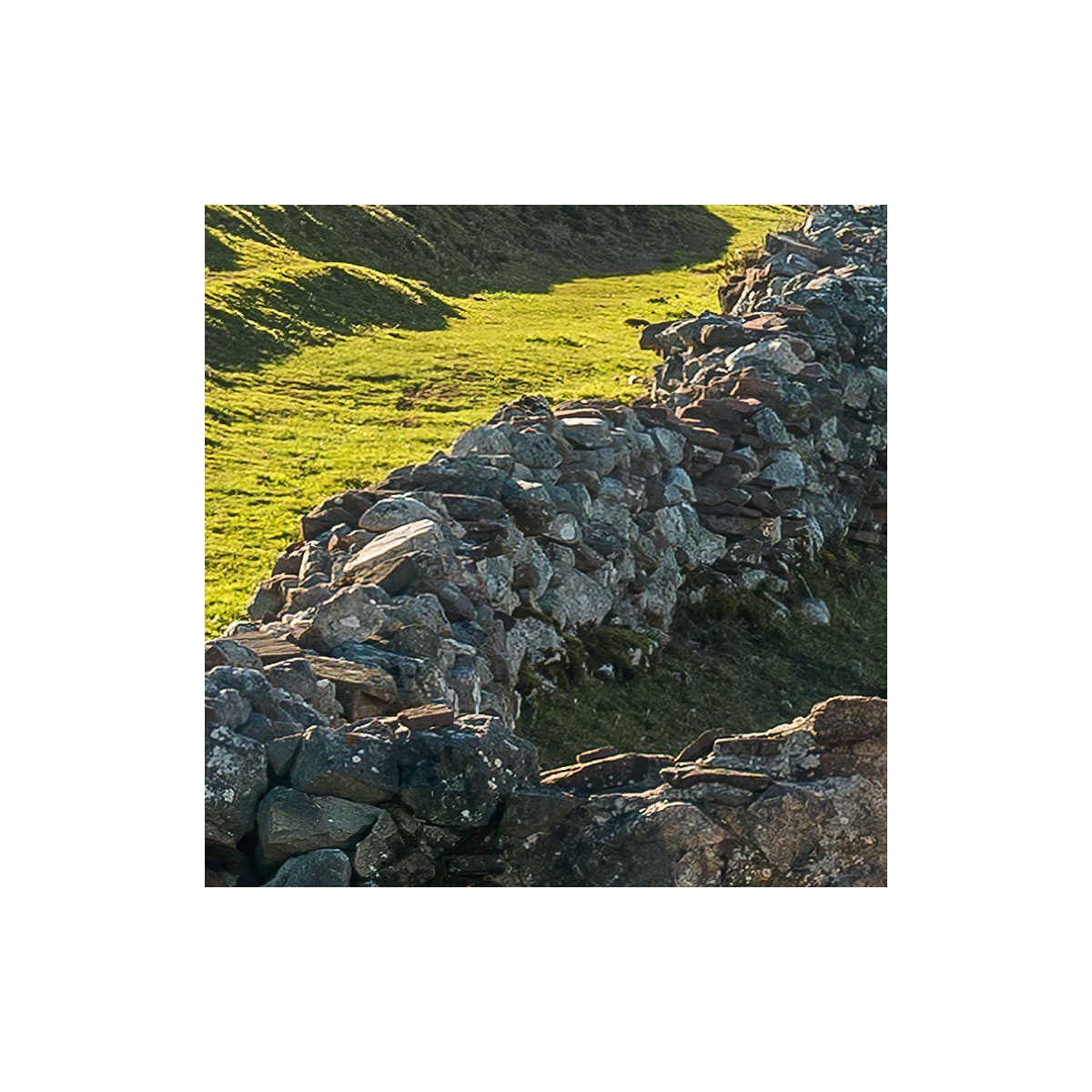 Komar  Vlies Fototapete Picos de Europe Alm 450x280 cm Bild 5