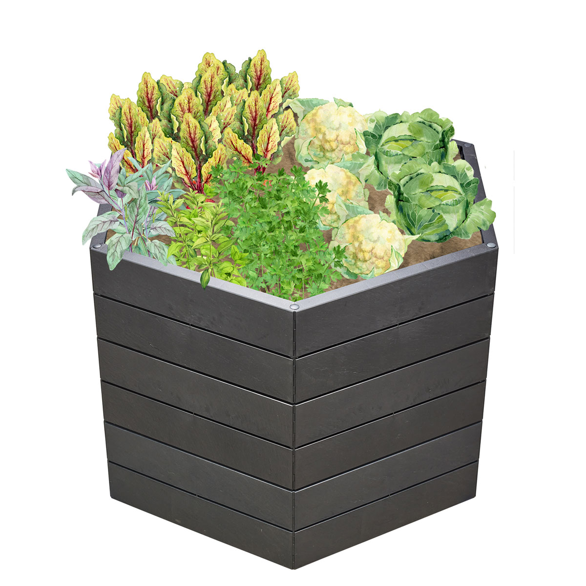 Garantia Hochbeet ERGO L 75 Stone inkl FLORA Bild 1