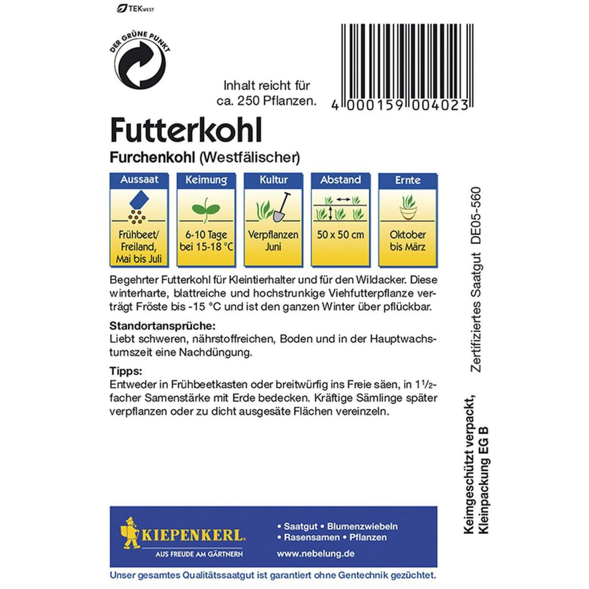 Kiepenkerl Futterkohl Westfälischer Furchenkohl Bild 2