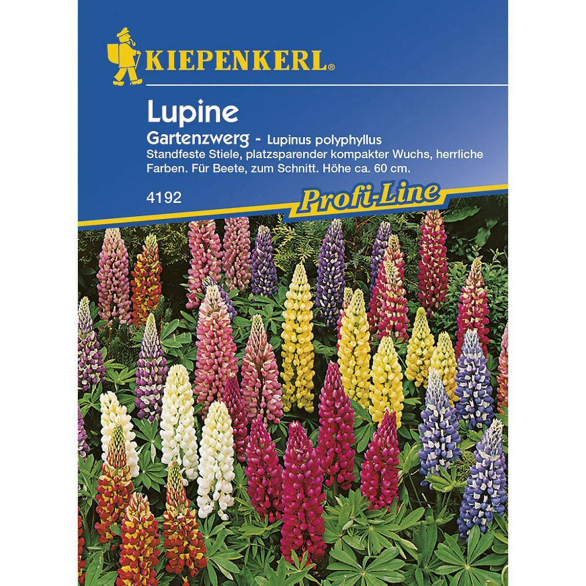 Kiepenkerl Lupinen Gartenzwerg Profi-Line