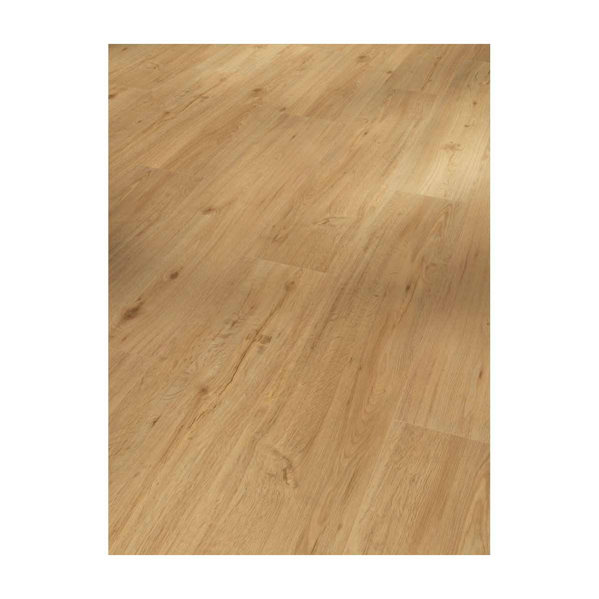 Parador Vinylboden Basic 5.3 Eiche Natur gebürstete Struktur 22,5 x 120,9 cm