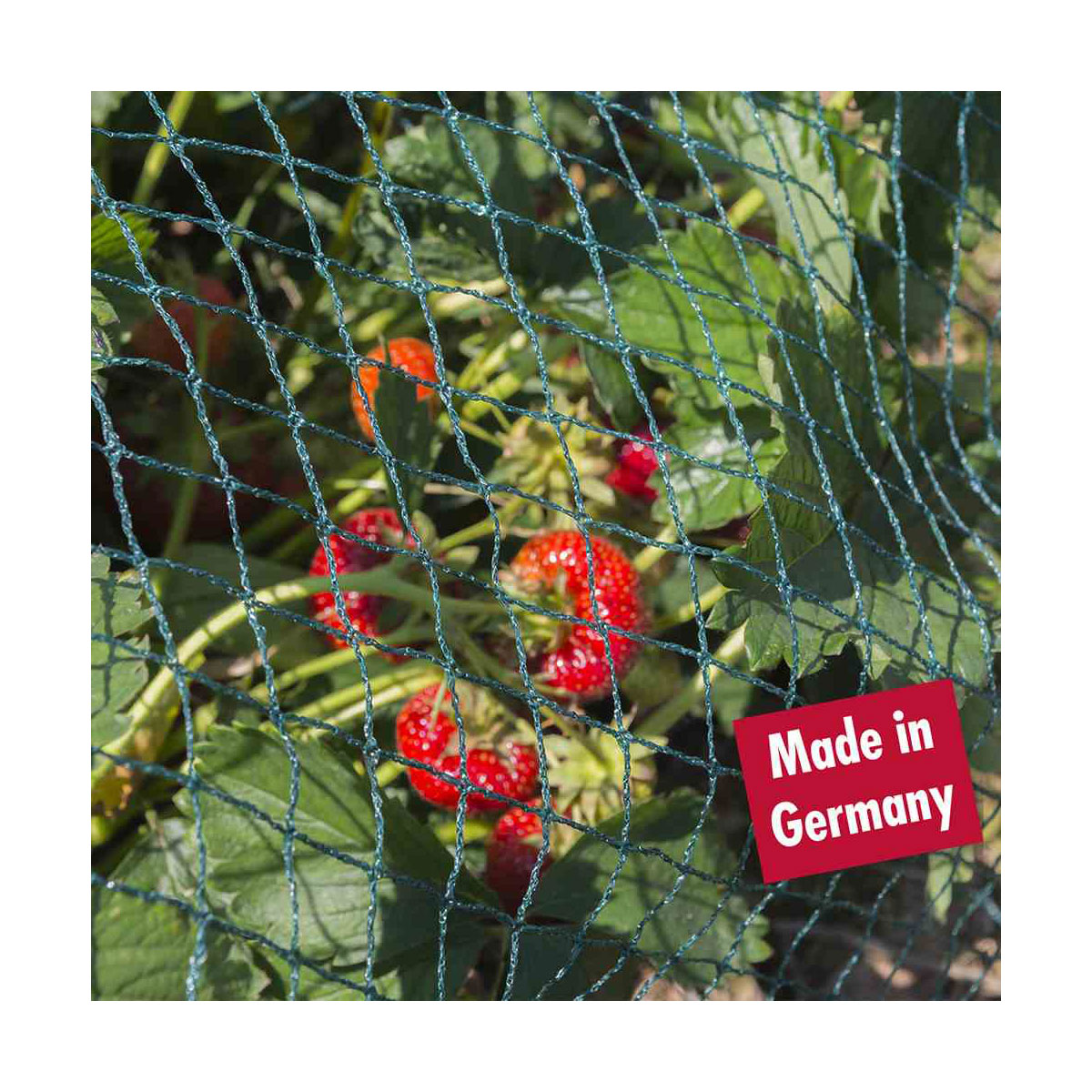 Siena Garden Vogelschutznetz Profi 8 x 8m Bild 2