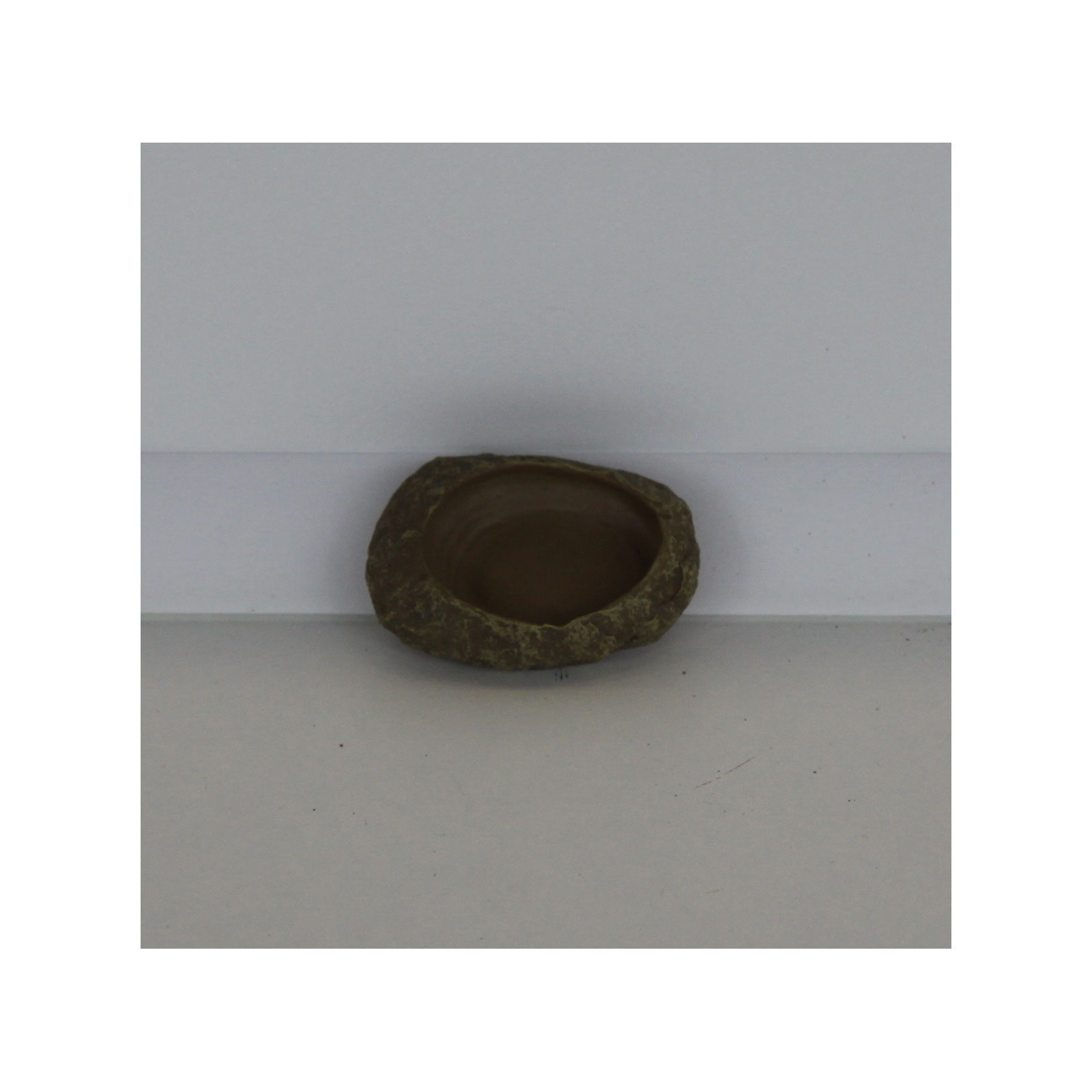 Reptiles-Planet Futternapf XS Bild 1