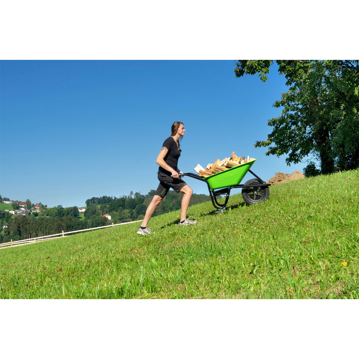 Elektrische Schiebetruhe ZI-EWB500 LI Bild 3