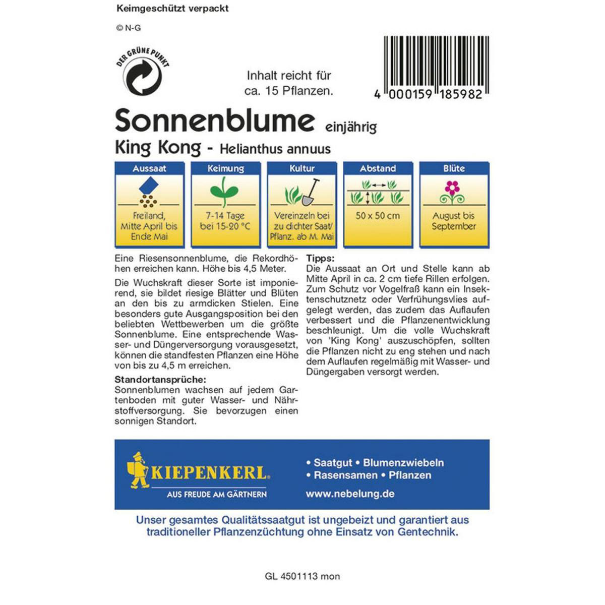 Kiepenkerl Sonnenblume King Kong Bild 2