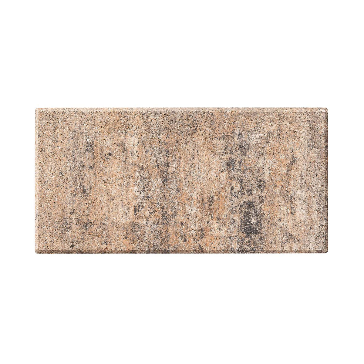 Diephaus  Terrassenplatte No. 1 Light muschelkalk 40 x 20 x 4 cm Bild 2