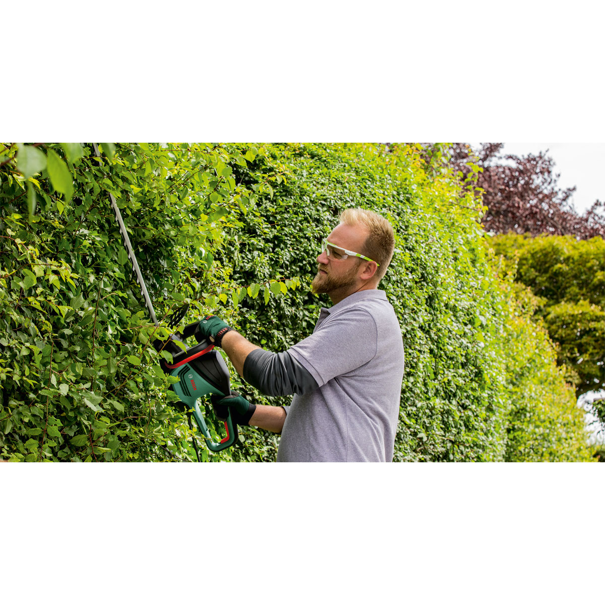 Bosch  Heckenschere UniversalHedgeCut 60 Bild 5