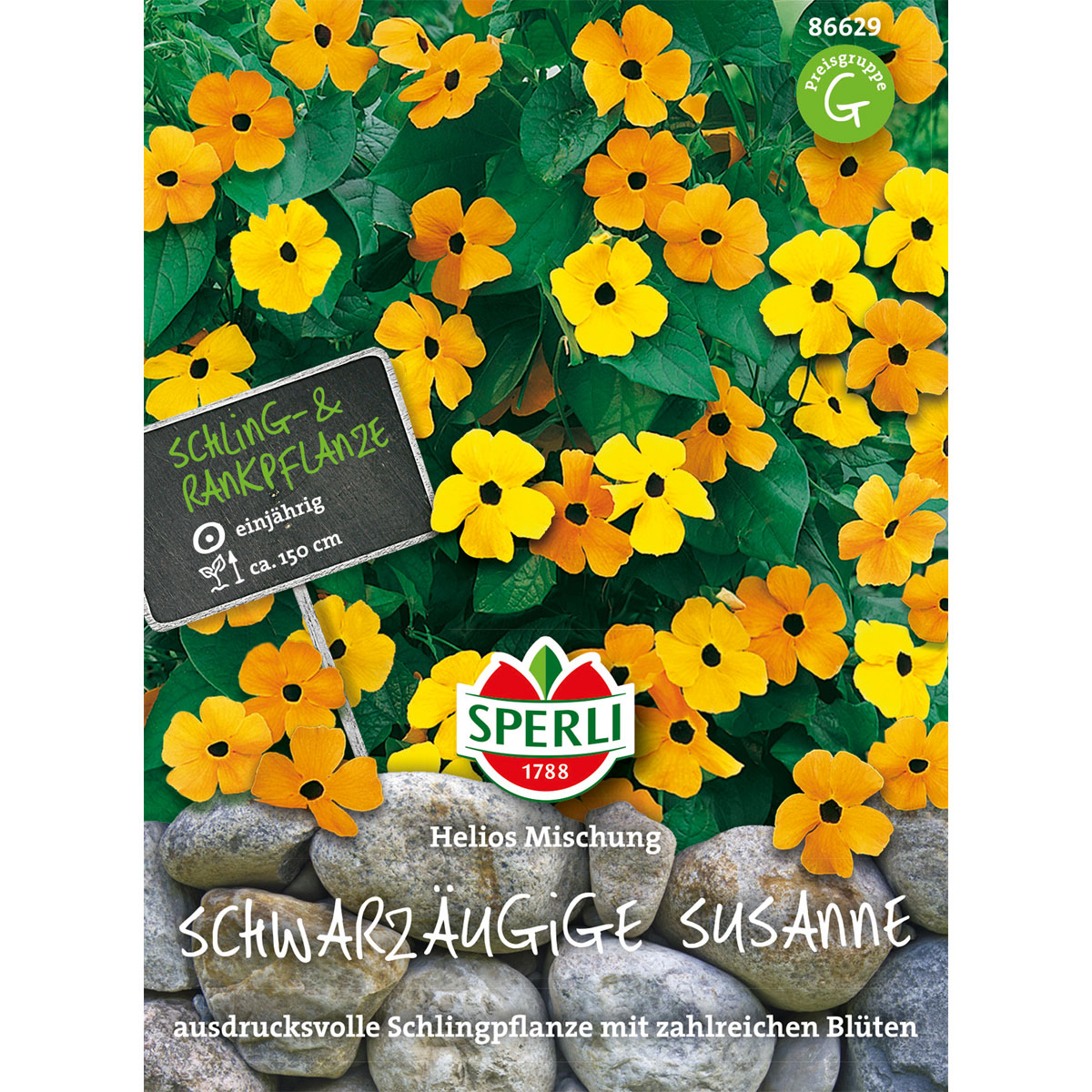 Sperli Schwarzäugige Susanne Helios Mischung