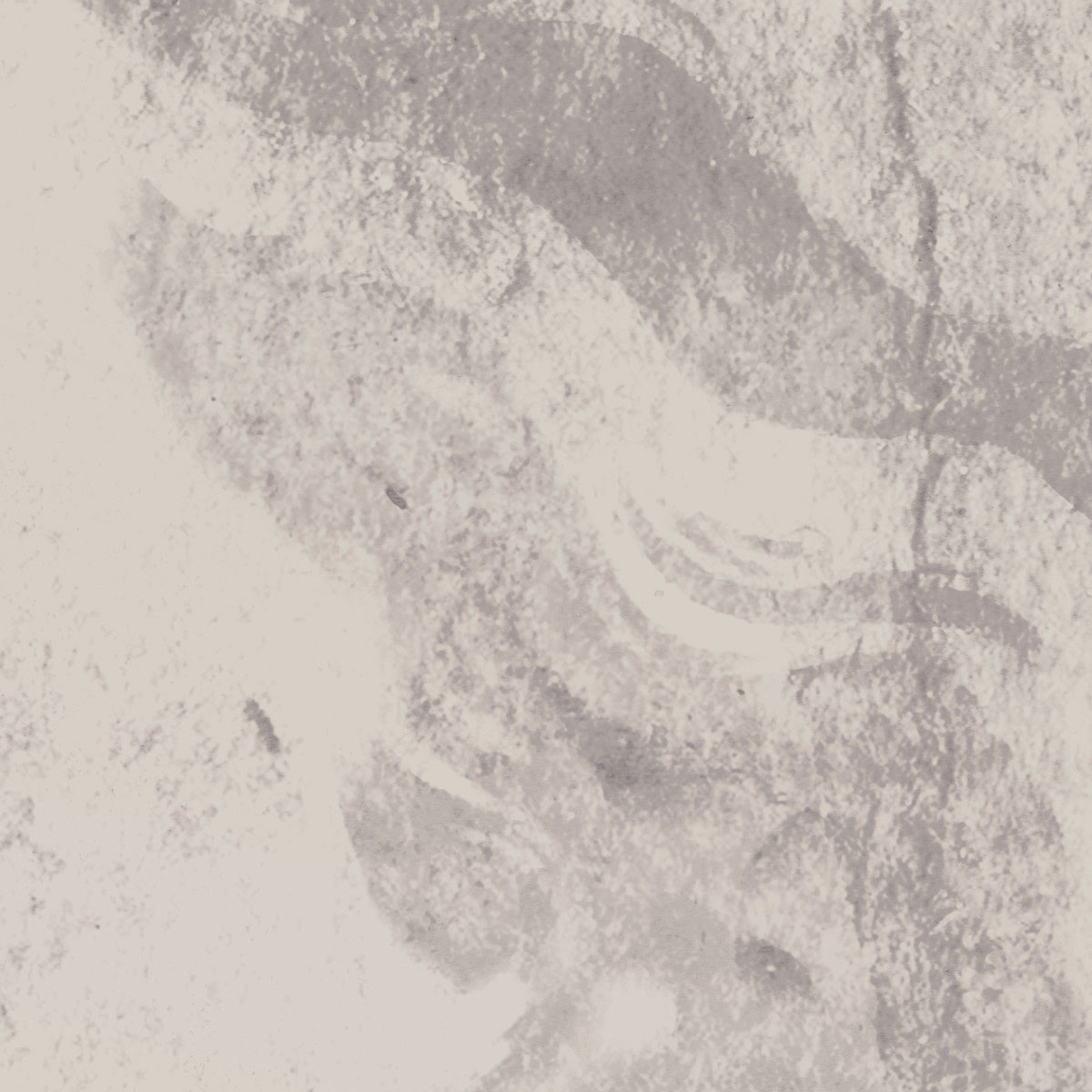 Komar  Vlies Fototapete Eve 300x280 cm Bild 4