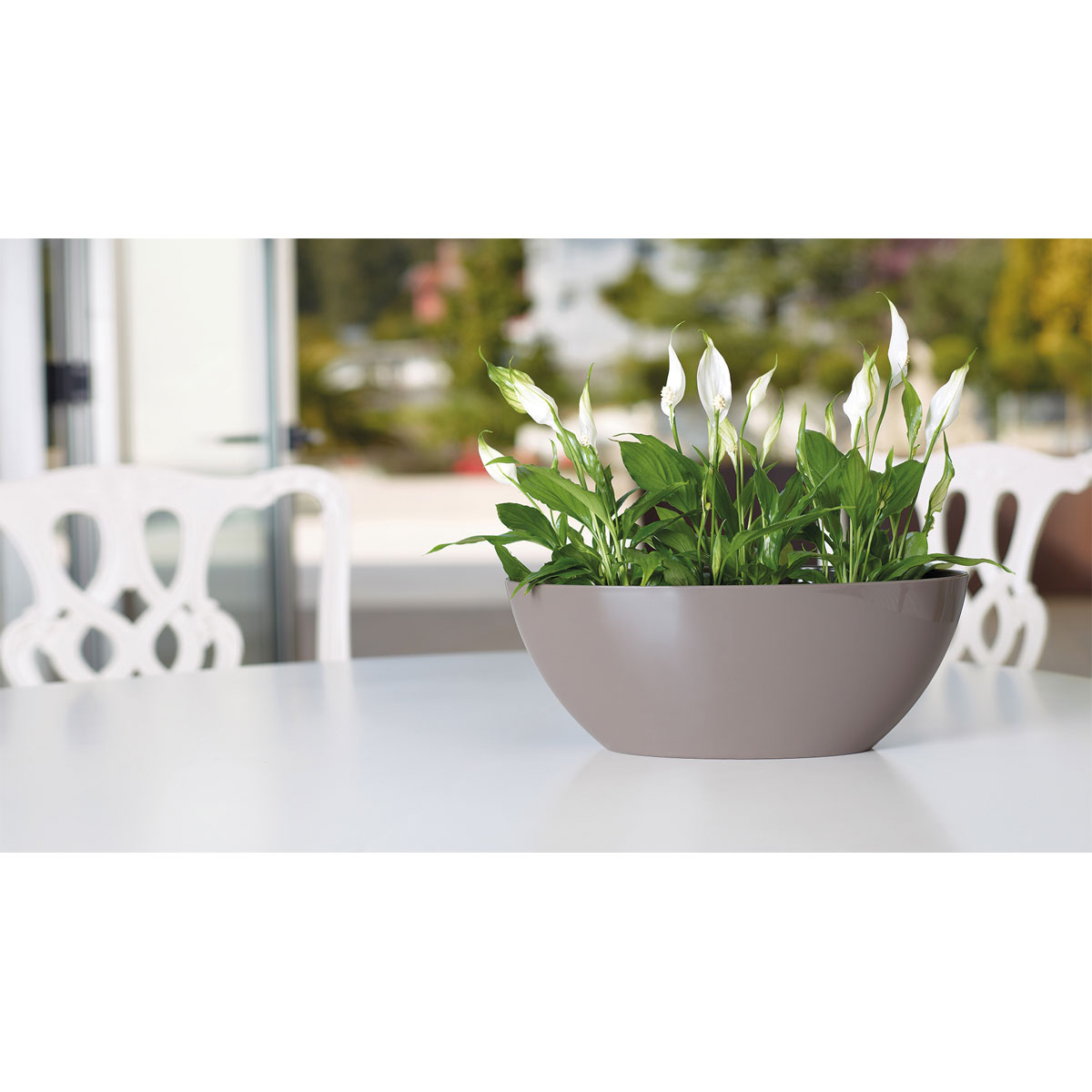 Schale Bahia Plant Box 22 cm anthrazit Bild 3