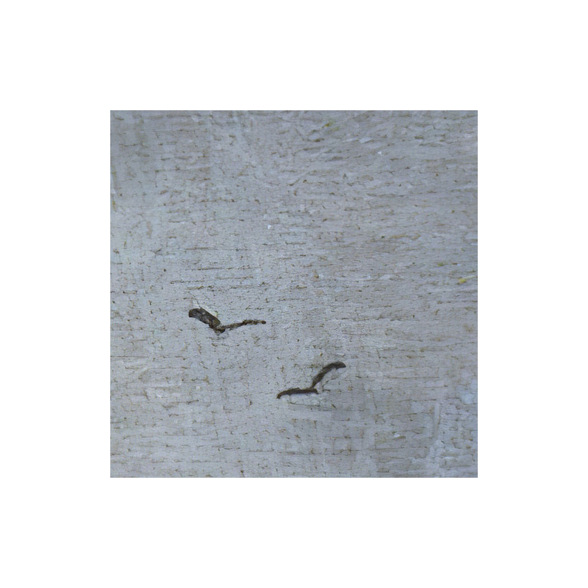 Komar  Selbstklebende Vlies Fototapete rund Simply Sky Durchmesser 125 cm Bild 7