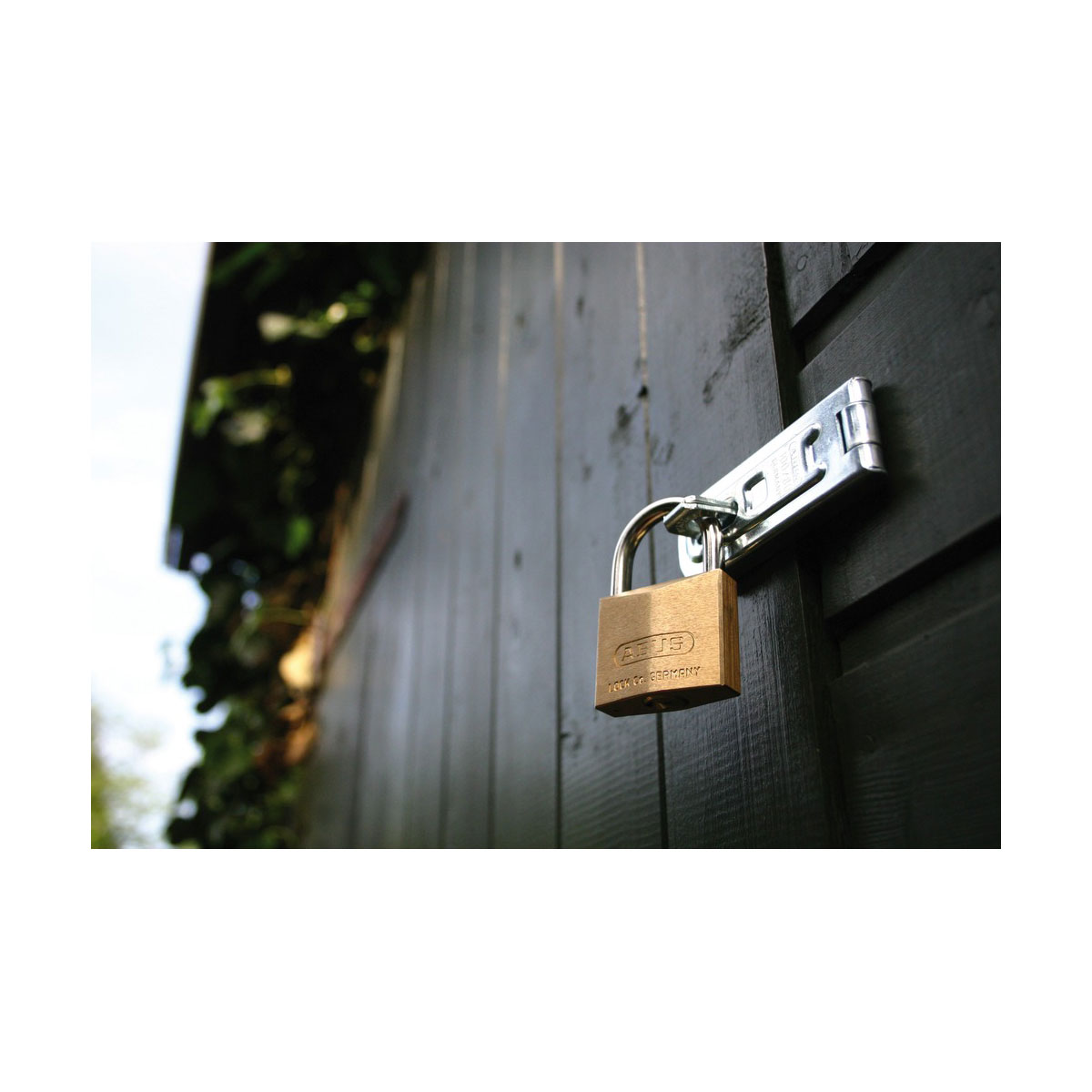 Abus Vorhängeschloss 85 40 mm Messing Bild 2