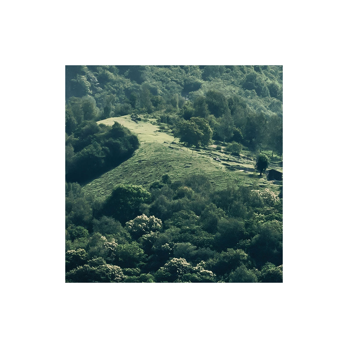 Komar  Vlies Fototapete The Summit 300x200 cm Bild 7