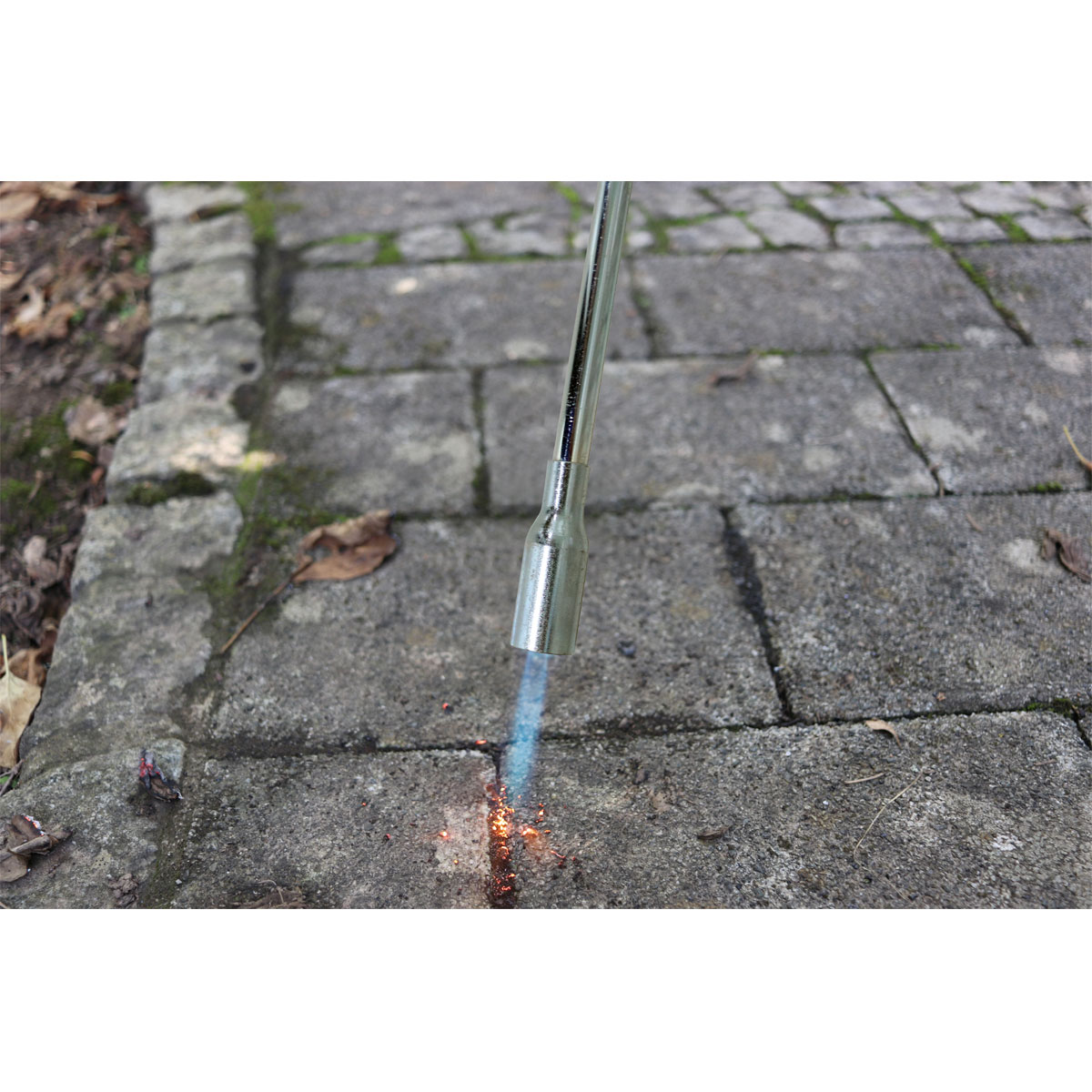 CFH Bio-Unkrautentferner Deluxe PZ 7000 Bild 2