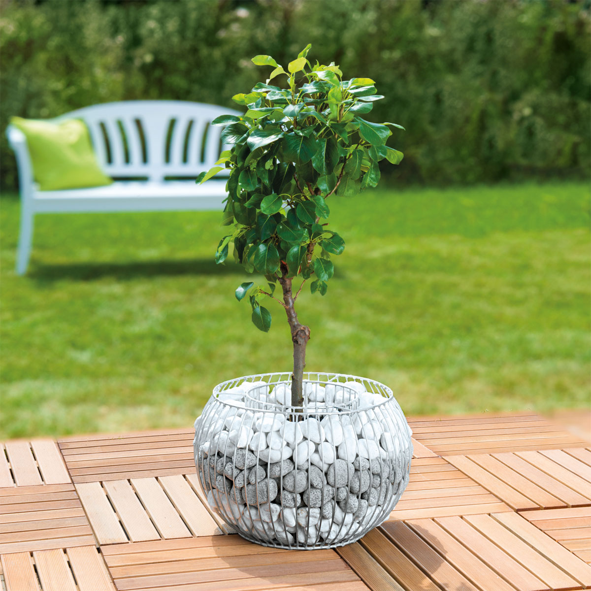 Wilk Gabionen-Pflanzgefäß Olympia L Bild 3