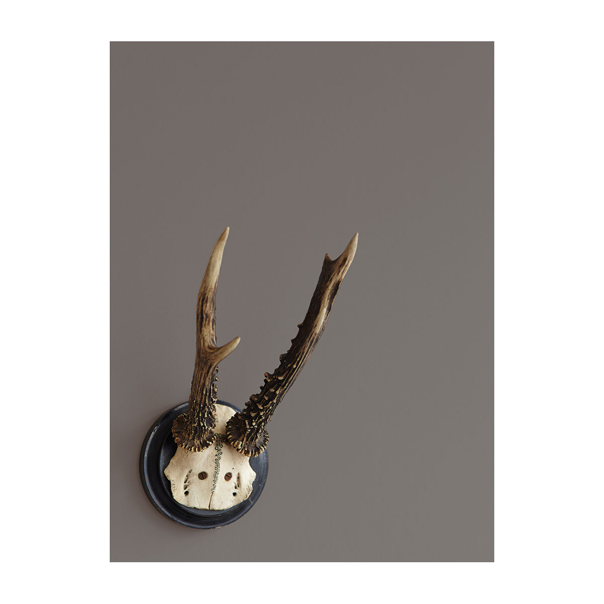 Alpina Feine Farben Stärke der Berge 2,5 L Bild 3