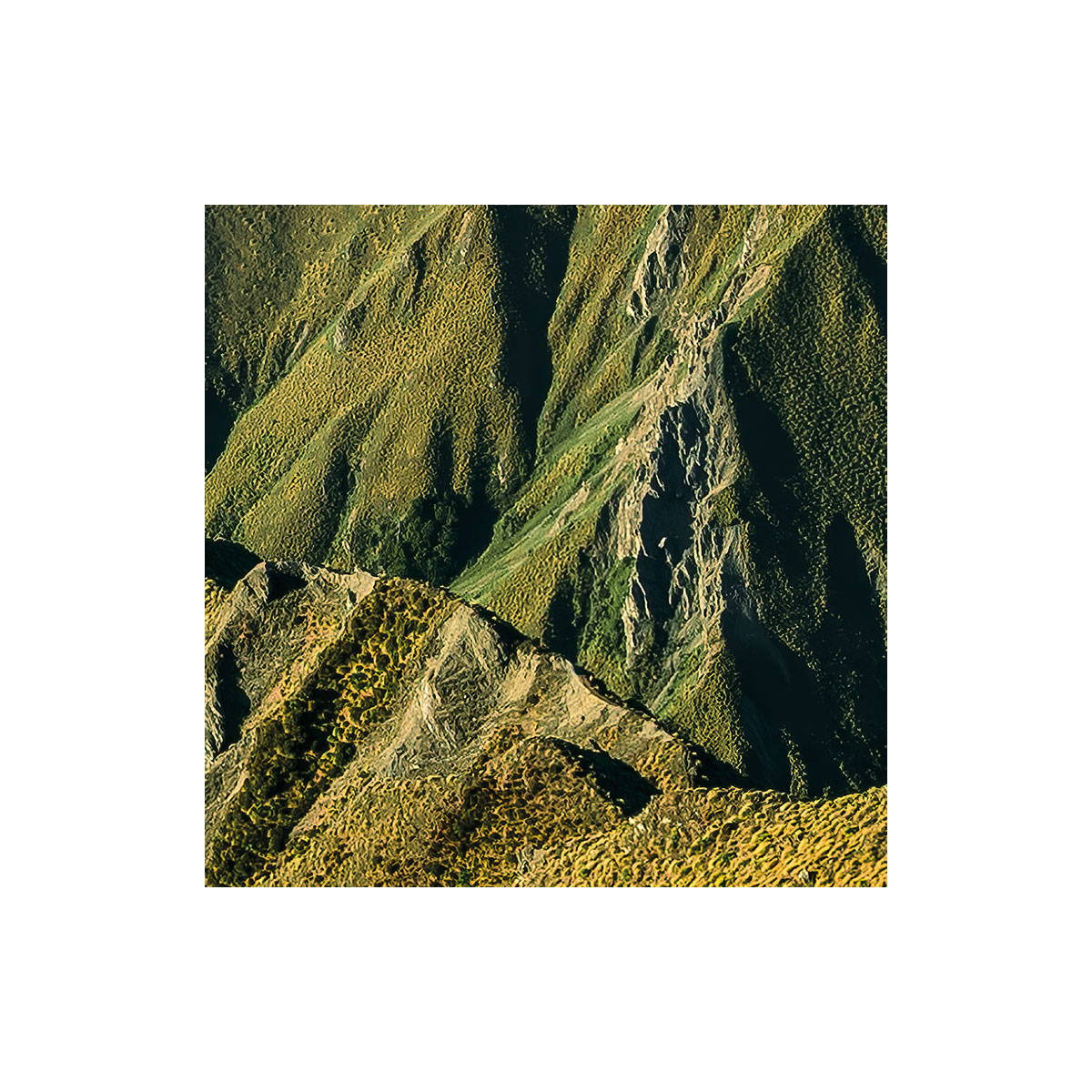 Komar  Vlies Fototapete Green Ridges 450x280 cm Bild 4