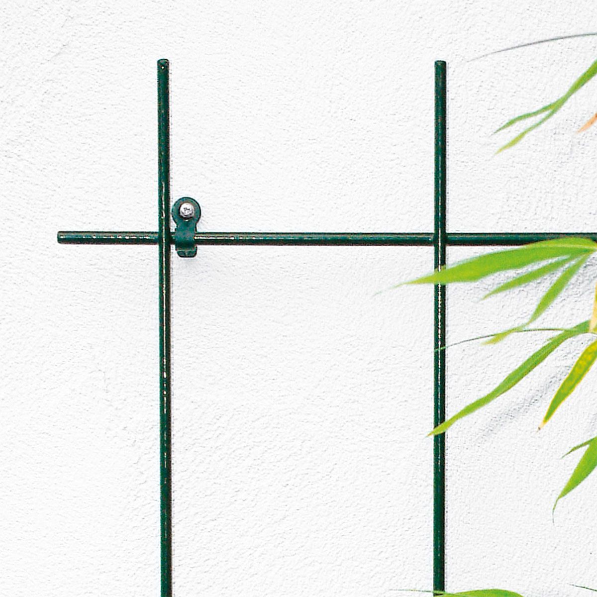 Spalier 4- strebig grün Bild 1